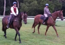 Our 2yo babies learning the ropes about racing