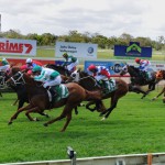 Tuncurry’s Next Race Meeting 13th September